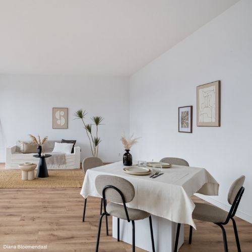 Tischdecke | 1360cm x 136 cm | Für Papptisch | Home Staging