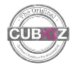 Logo Cubiqz About Us